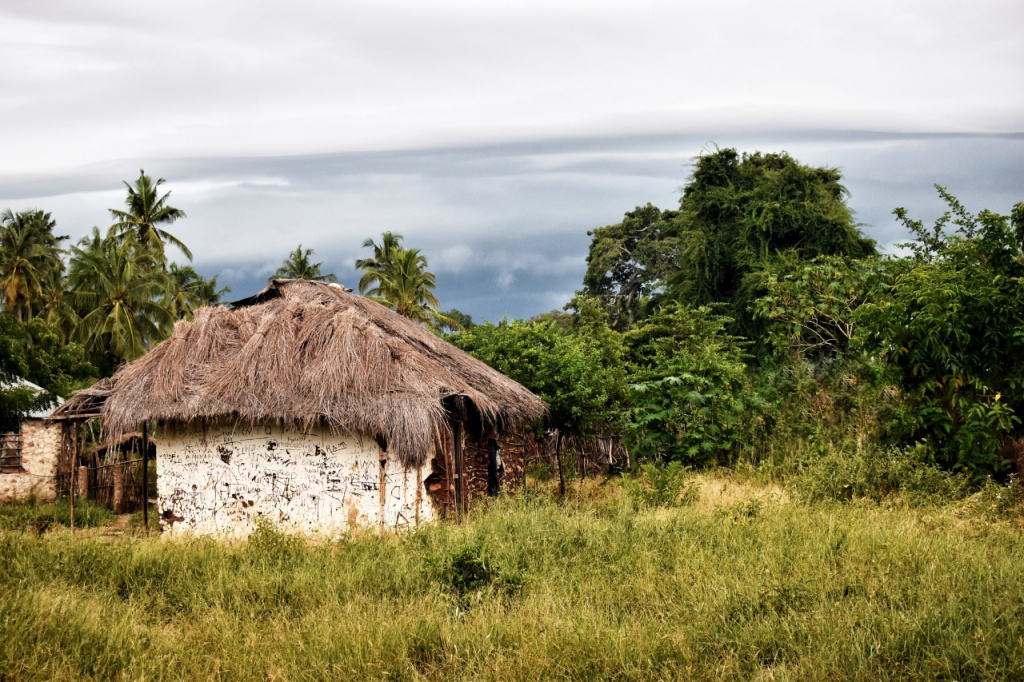 House in The Village